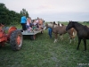 Cowboy campers getting introduced to the horses while on a hayrack ride