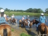 The horses take a dip in the pond for some water