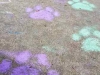 20180625_091500