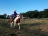 2018 Performing Arts and Horse Camp 3
